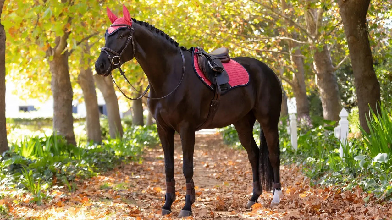 Le Miuex New Suede Close Contact Square Pad