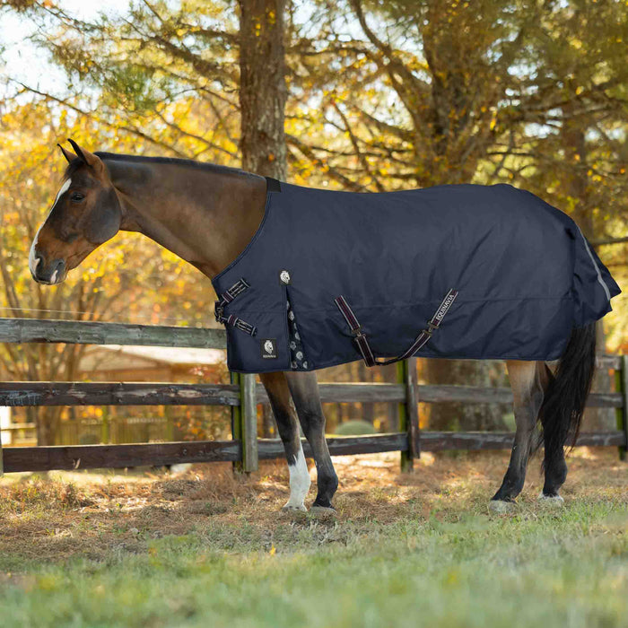 Horse wearing a navy Equinavia blanket in a grassy field with trees in the background