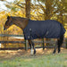 Horse wearing a navy Equinavia blanket in a grassy field with trees in the background