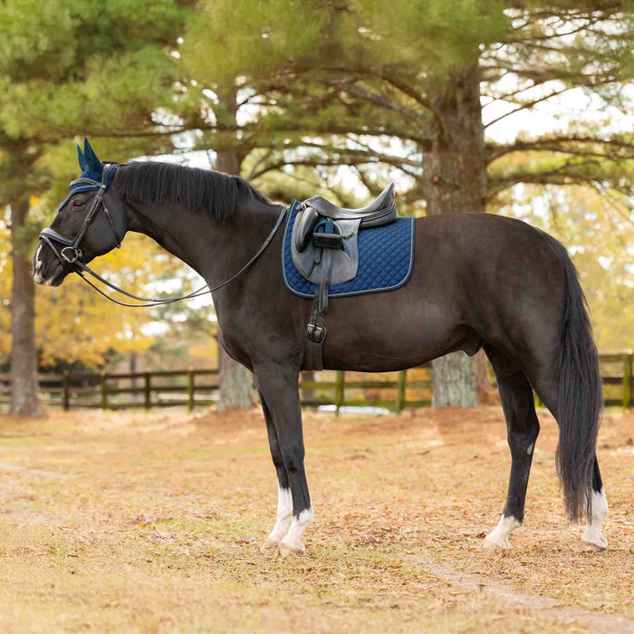 Equinavia Voss Dressage Saddle Pad and Bonnet Set