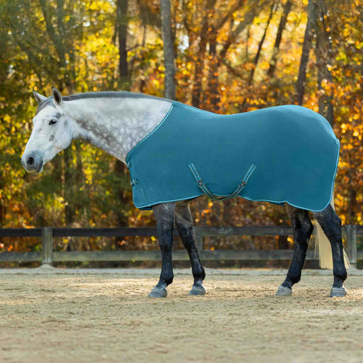 A dapple gray horse standing in an outdoor horse stable paddock wearing a teal blue turnout rug, with a wooden fence and autumn trees in the background.