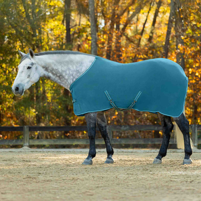 A dapple gray horse standing in an outdoor horse stable paddock wearing a teal blue turnout rug, with a wooden fence and autumn trees in the background.