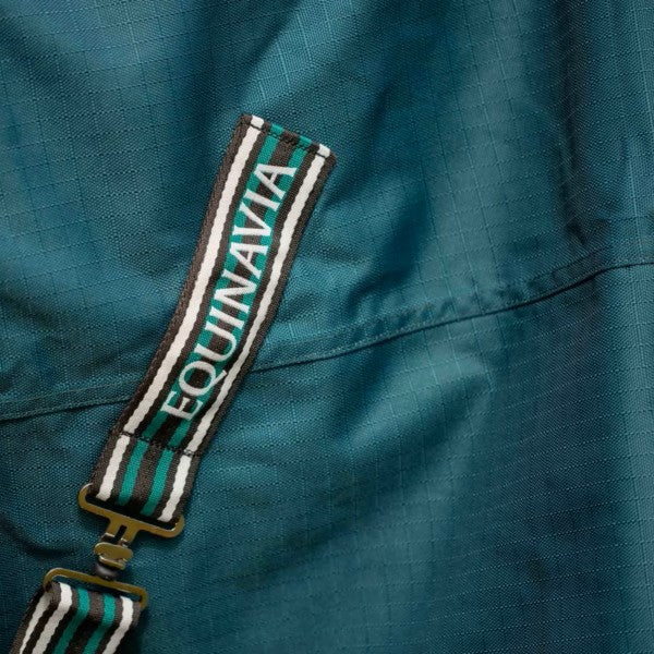 Equinavia Arktis Regular Neck 100g Turnout Blanket