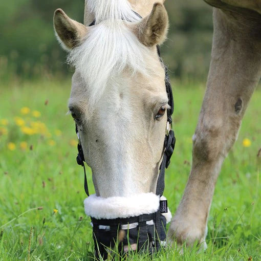 Shires Deluxe Grass Grazing Muzzle