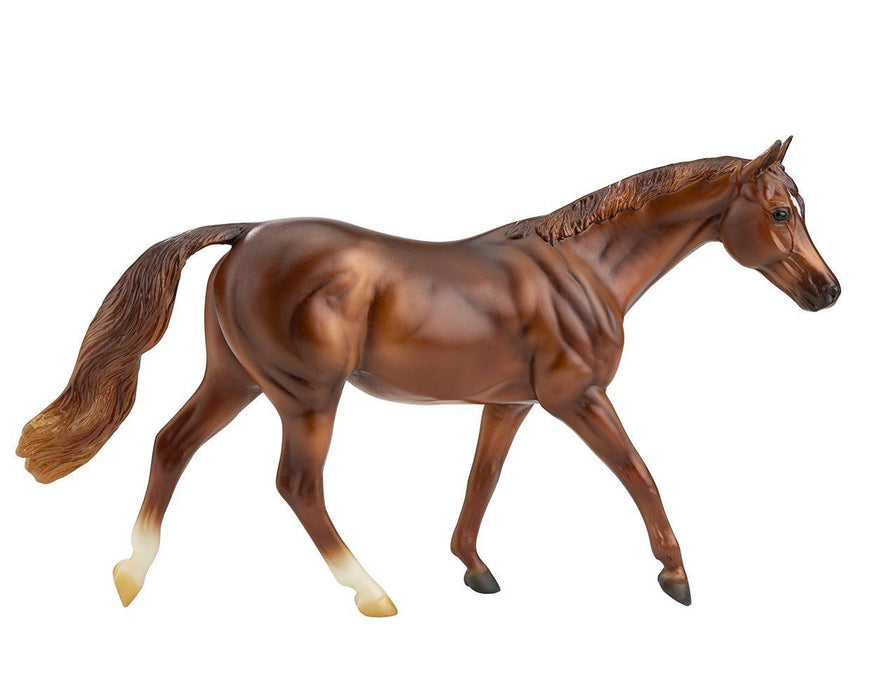 Freedom Series - Coppery Chestnut Thoroughbred