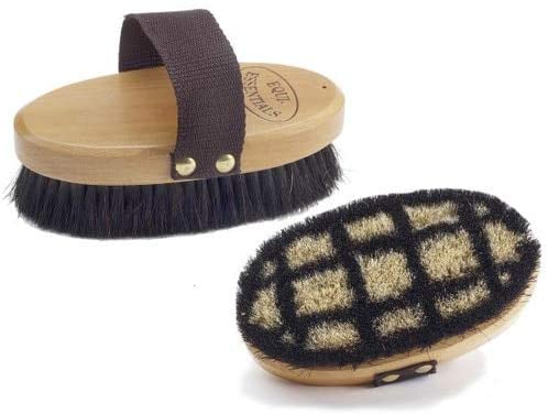 Small Wood Back Body Brush with Horse Hair